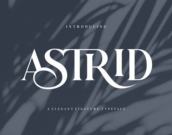 D1124443 1252 4ccb 972f 7e365b10de76 2